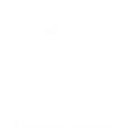 The Dhruta Constructions